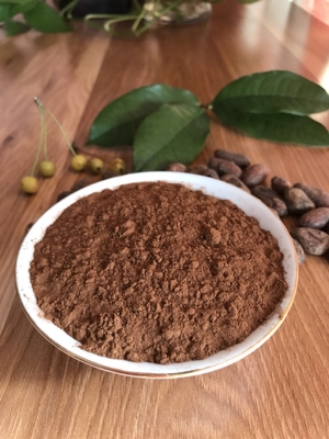 İnce Organik Alkalize Kahverengi Kakao Tozu Negatif Patojen Bakteriler